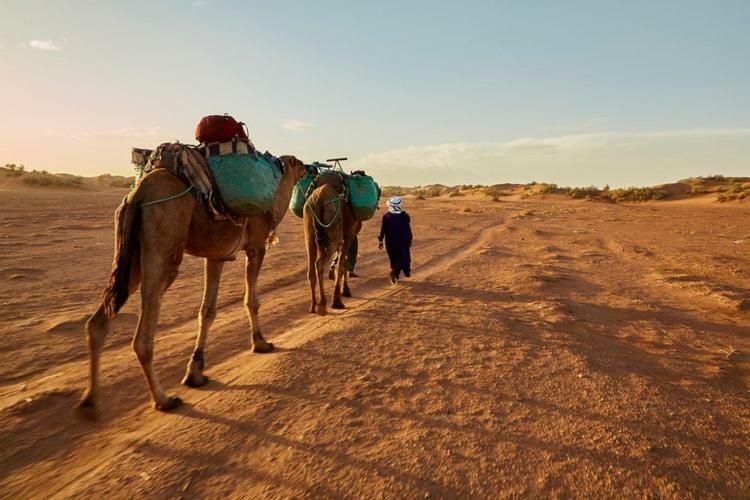 Sahara Camp Hotel Adrouine Buitenkant foto